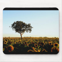 sunflowers mouse pads