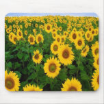 Sunflowers Mousepad mousepads