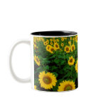 Sunflowers Coffee Mugs