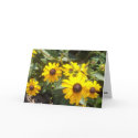 Sunflowers Notecard by BearyAnn Sunflowers Notecard