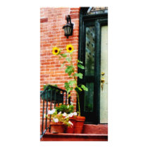 Sunflowers on Stoop Photo Cards