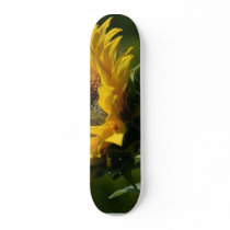 Sunflowers Petals Pollen Yellow skateboards