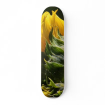 Sunflowers Petals skateboards