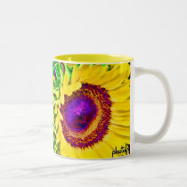 Sunflowers Pop mugs