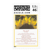 Sunflowers postage by Montanalee Sunflowers postage