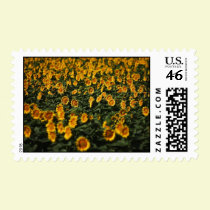 Sunflowers postage