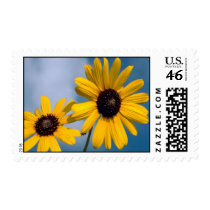 Sunflowers postage