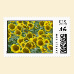 Sunflowers postage
