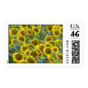 Sunflowers postage