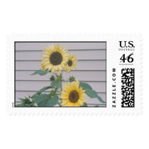 "SUNFLOWERS" postage