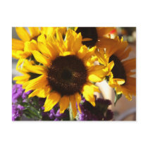 Sunflowers postcards