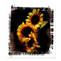 sunflowers posters