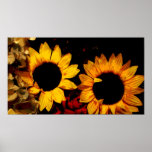 Sunflowers poster