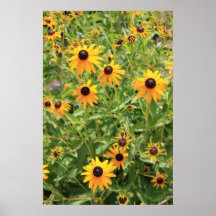 Sunflowers Posters