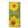 Sunflowers Full Color Rack Card