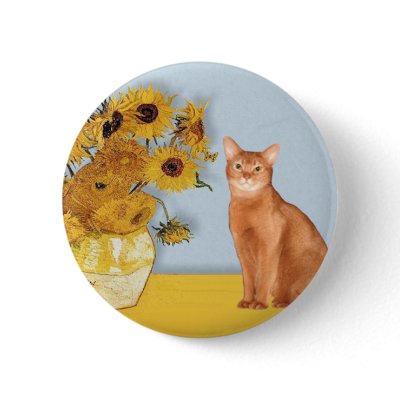 red abyssinian cats