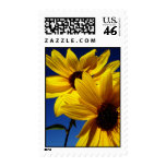 Sunflowers Stamp