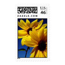 Sunflowers Stamp