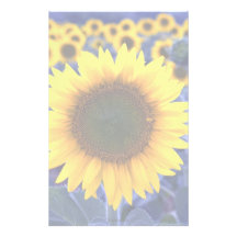 Sunflowers Stationery Design