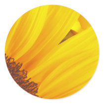 Sunflowers Round Sticker
