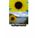 Sunflowers Sunflowers Sunflowers t-shirts by Roschetzky Sunflowers Sunflowers Sunflowers t-shirts