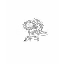 Sunflowers T-Shirt