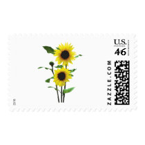 Sunflowers Tall and Short postage
