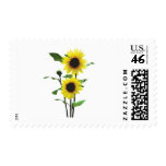 Sunflowers Tall and Short Stamps