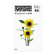 Sunflowers Tall and Short postage