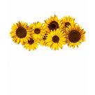 ladies_fitted_babydoll - Sunny digital art for summer.: Sizes  Available colors: yellow