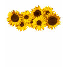 ladies_fitted_spaghetti - A bit of summer on your body.: Sizes  Available colors: white