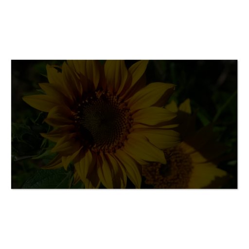 Sunflowers Yellow Business Card Template (back side)