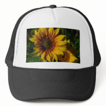 Sunflowers Yellow hats