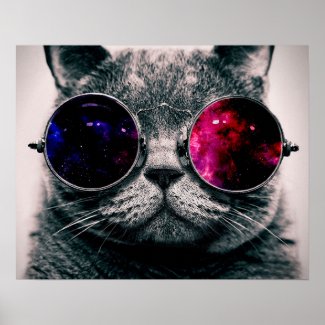 sunglasses cat poster