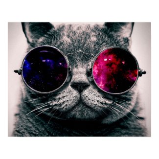 sunglasses cat poster