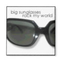 sunglasses magnets