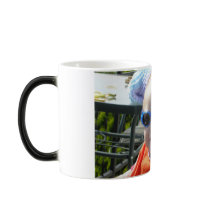 Sunglasses mugs