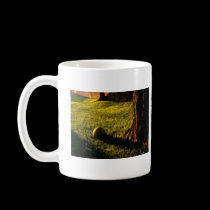Suninn Rock mugs