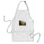 Sunlight and Boats, Bow Bridge, Central Park Apron