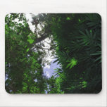 Sunlight & Bamboo usepad