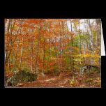 Sunlight Dappled Fall Trail Card