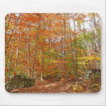 Sunlight Dappled Fall Trail Mousepad