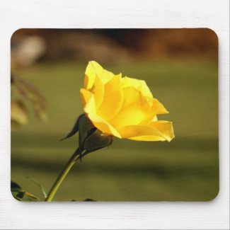 Sunlight Filtered Thru Yellow Rose Mouse Pad