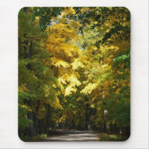 Sunlight in the Trees mousepads