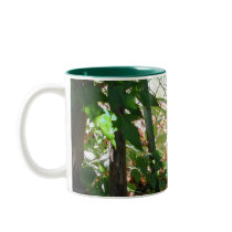 Sunlight mugs