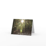 Sunlight - Notecard