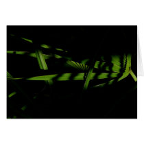 Sunlight on a Dark Palm cards