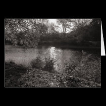 Sunlight on the Taff, Bute Park, Cardiff