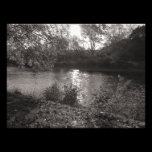 Sunlight on the Taff, Bute Park, Cardiff photography