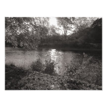 Sunlight on the Taff, Bute Park, Cardiff Photo Art